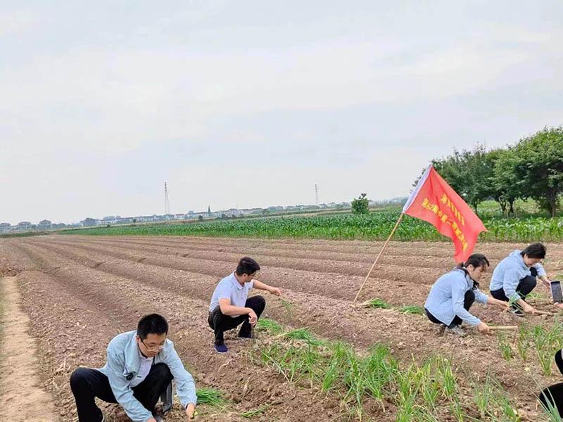 溆浦县工业园最新消息，溆浦县工业园最新消息，蓬勃发展中的工业新动力