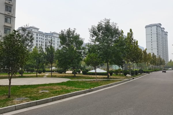 鹿锦苑二手房出售最新，鹿锦苑二手房出售最新动态