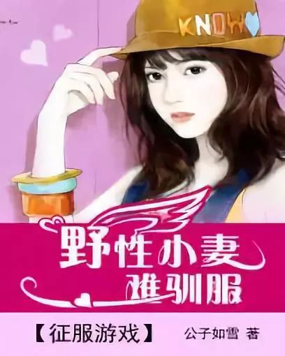 征服游戏野小妻难驯服最新章节，征服游戏野小妻难驯服最新章节，挑战与成长的力量