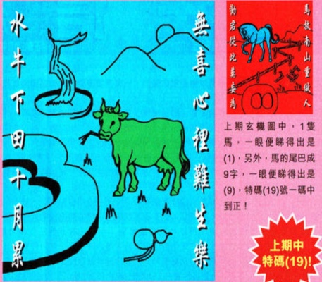 管家婆2025最新正版资料大全，管家婆2025最新正版资料大全，探索与应用价值