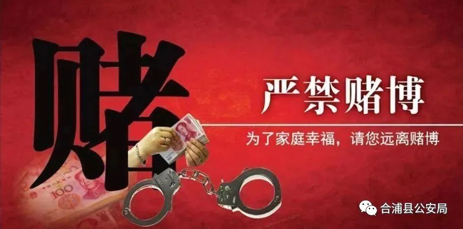 澳门天天彩期期精准，澳门天天彩期期精准——揭示背后的违法犯罪问题