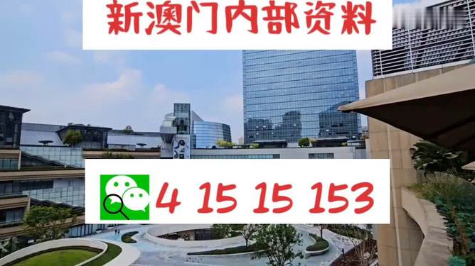 澳门黑庄内部一码，澳门黑庄内部一码揭秘与探讨