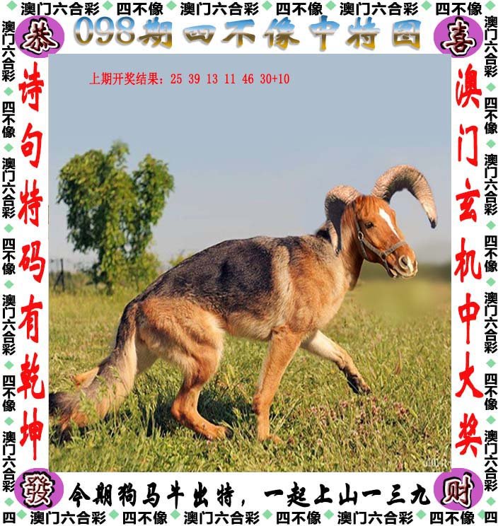 2025今晚四不像图2025，探索未知领域，关于今晚四不像图与未来世界展望的探讨