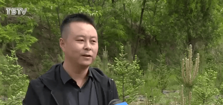 新澳正版资料免费大全，新澳正版资料免费大全，探索与利用