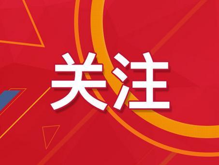 新澳门精准资料大全管家资料，新澳门精准资料大全与管家资料的深度解析