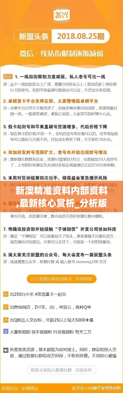 新澳2025年精准资料220期，新澳2025年精准资料220期深度解析