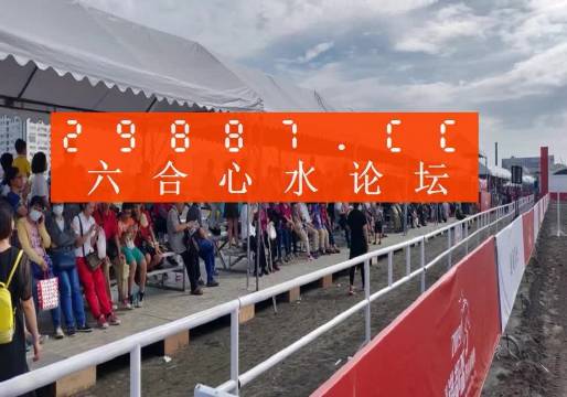 新澳门二四六天天彩，新澳门二四六天天彩，探索与体验多彩魅力