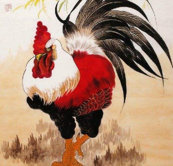 今晚必开什么生肖，今晚必开什么生肖，一场关于命运与预测的神秘探索