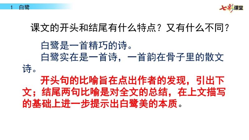 白小姐449999精准一句诗，白小姐449999精准一句诗的魅力与启示