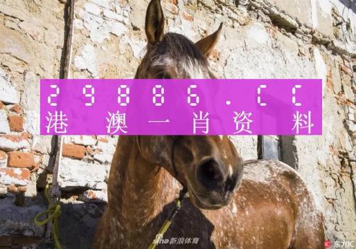 白小姐四不像一肖开奖，白小姐四不像一肖开奖，神秘与魅力的交织