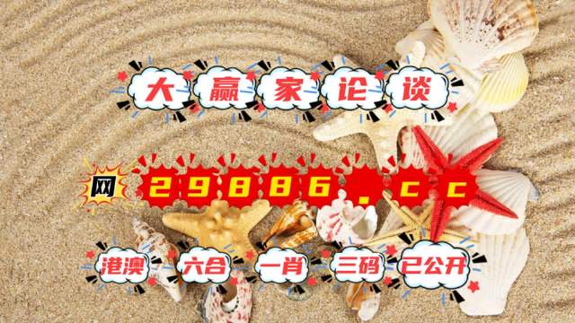 777788888新澳门开奖，探索新澳门开奖的奥秘，一场数字游戏之旅