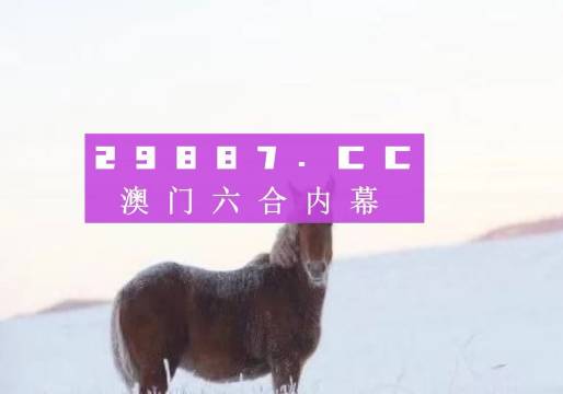 澳门最准连三肖，澳门最准连三肖，揭秘与探索