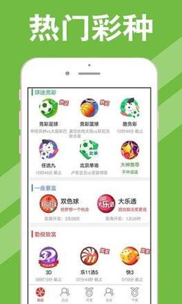 新澳313今晚开奖结果查询，新澳313今晚开奖结果查询——揭开幸运之门的神秘面纱