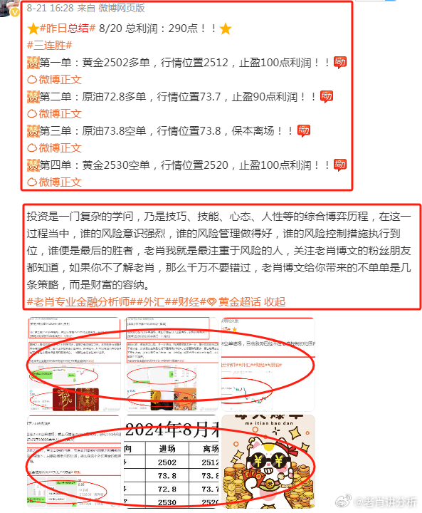 新澳门2025管家婆正版资料，新澳门2025管家婆正版资料，探索与解读