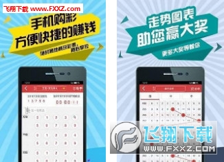 二四六天天彩944CC正版，二四六天天彩944CC正版，探索彩票的魅力与正版的重要性