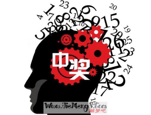 二四六天天彩资料大全直播，二四六天天彩资料大全直播，探索数字彩票的新世界