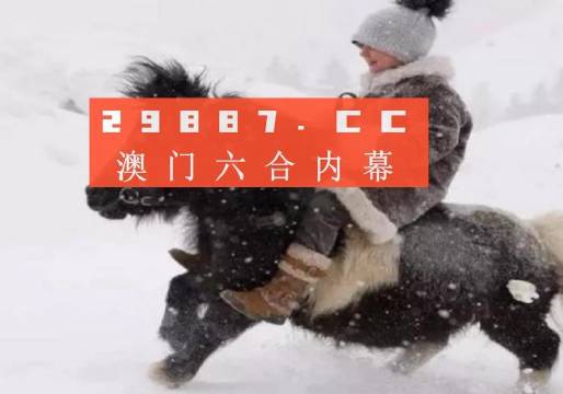 澳门管家一肖一码一开，澳门管家一肖一码一开，揭秘背后的秘密与探索其魅力