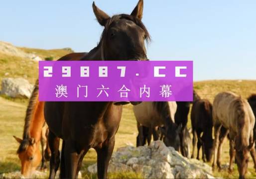 管家婆一肖一码澳门码，管家婆一肖一码澳门码，探索背后的神秘世界