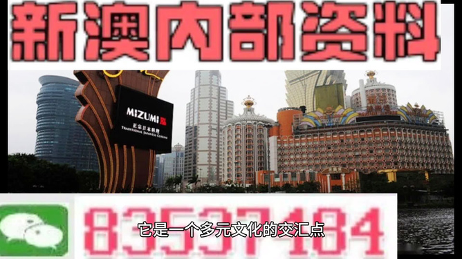 澳门高级内部vip资料，澳门高级内部VIP资料，深度解析与探索
