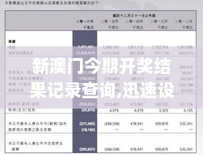 新澳历史记录查询结果，新澳历史记录查询结果深度解析