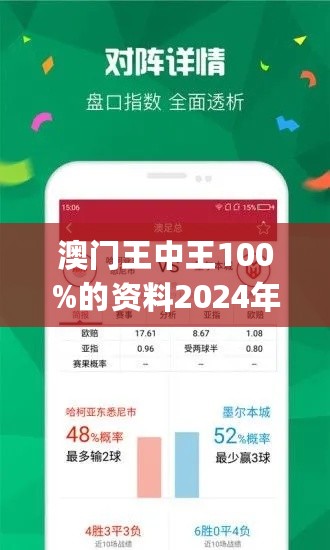 新澳门王中王王中王免费，新澳门王中王王中王免费，探索与体验