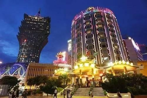 澳门一肖100准免费，澳门一肖100准免费——揭秘澳门博彩文化的魅力与真相