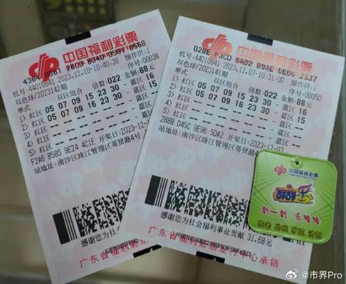 澳门平特一肖100中了多少倍，澳门平特一肖100中奖倍数揭秘