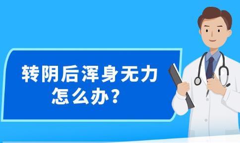 新澳精准资料免费提供，新澳精准资料，助力个人与企业的成功之路