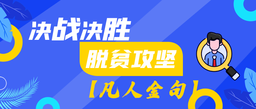 新奥门特免费资料大全管家婆，新澳门特免费资料大全与管家婆，探索与解析