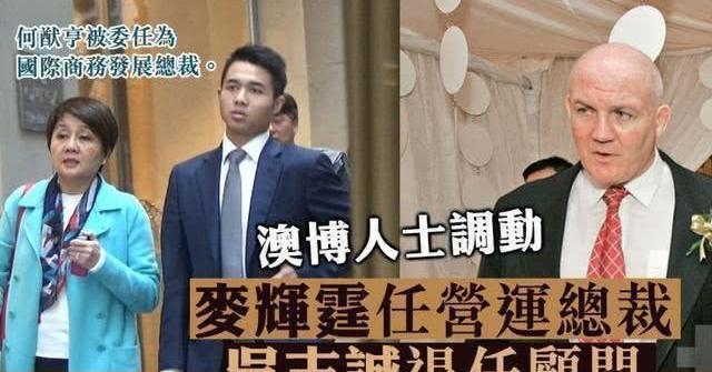 2025澳门四不像解析图，澳门四不像解析图，探索未来的蓝图与机遇（2025展望）