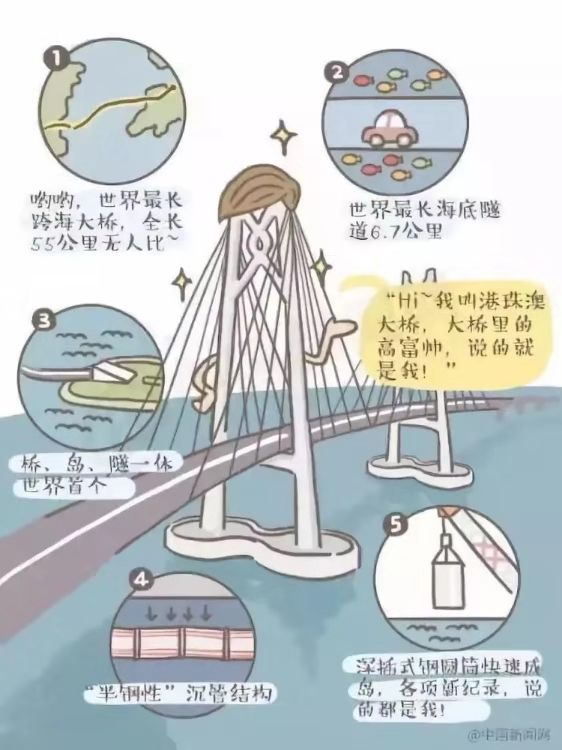 2025澳家婆一肖一特，探索未来，聚焦澳家婆与生肖特选的独特魅力到2025年