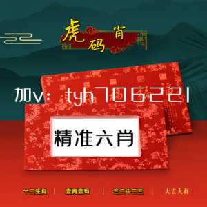 澳门一肖一码精准资料，澳门一肖一码精准资料，揭秘与探讨