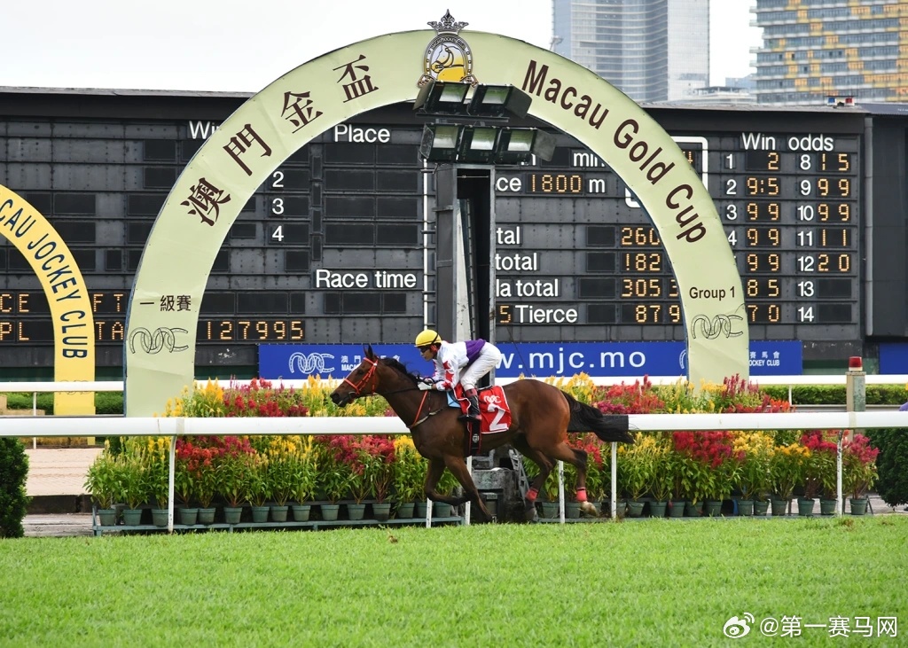 马会香港7777788888，马会香港，探索数字世界的神秘魅力 7777788888