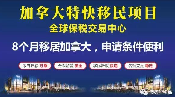 新澳内部爆料，新澳内部爆料，揭秘一家企业的真实面貌