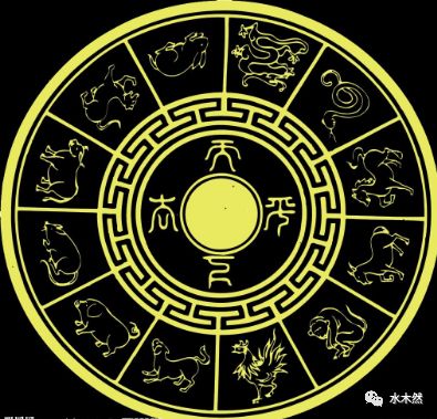 一肖一码，一肖一码，探索数字与生肖的奥秘