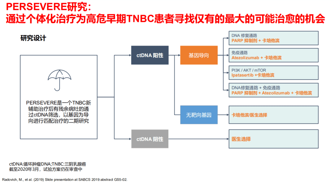 2025新澳精准资料免费提供，探索未来之路，关于新澳精准资料的免费提供与深度解析（2025展望）