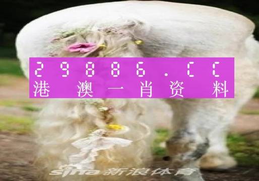 新澳门今晚平特一肖，新澳门今晚平特一肖的预测与探索