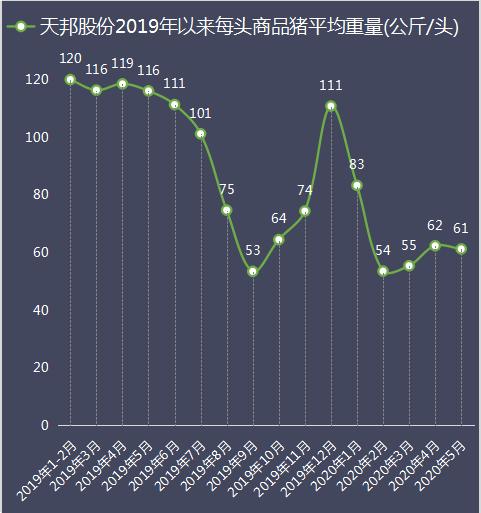 澳门王中王100精准数据解读，澳门王中王精准数据解读，探索数据与策略之间的奥秘