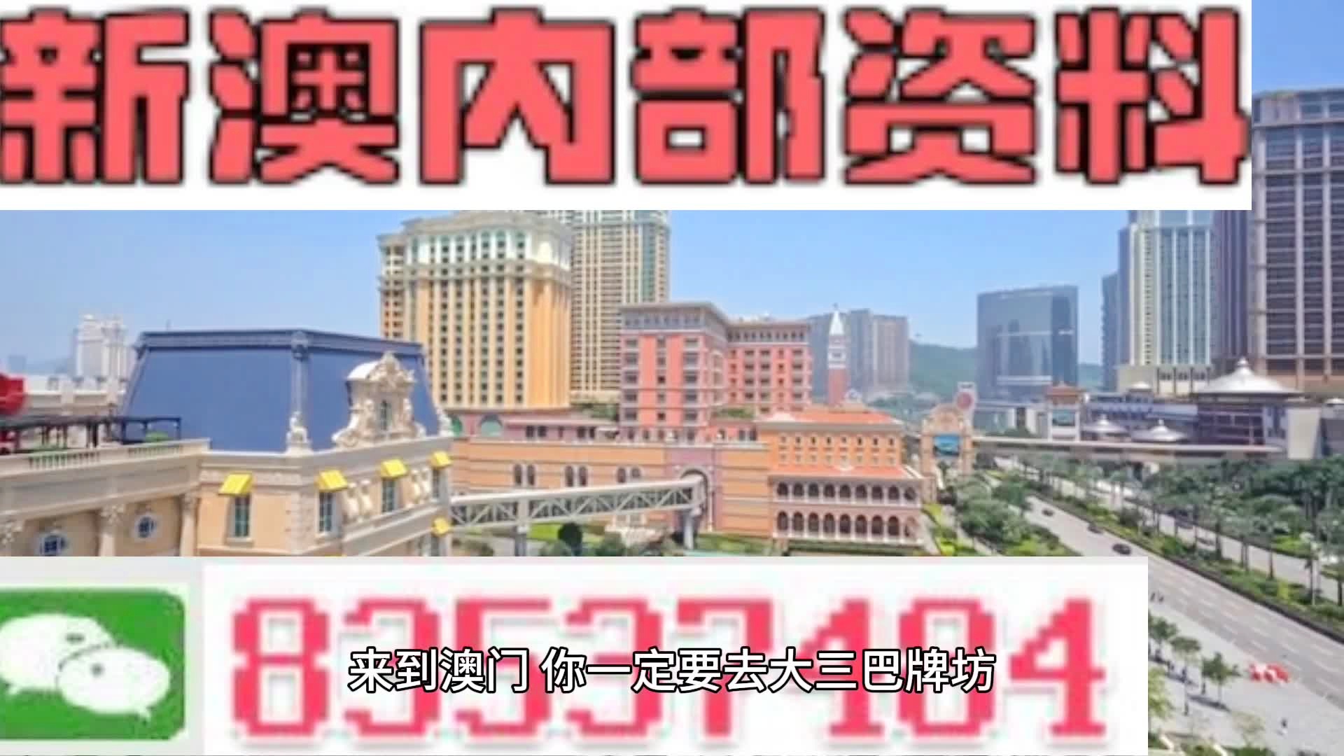 新奥门全年免费资料，新澳门全年免费资料，探索与揭秘