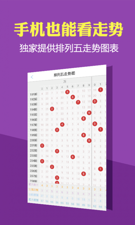 二四六天天彩资料大全2013年，二四六天天彩资料大全2013年，回顾与前瞻