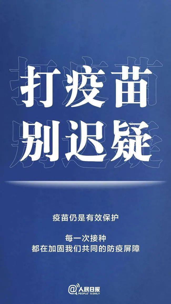 新奥门免费资料大全最新版本下载，新澳门免费资料大全最新版本下载指南