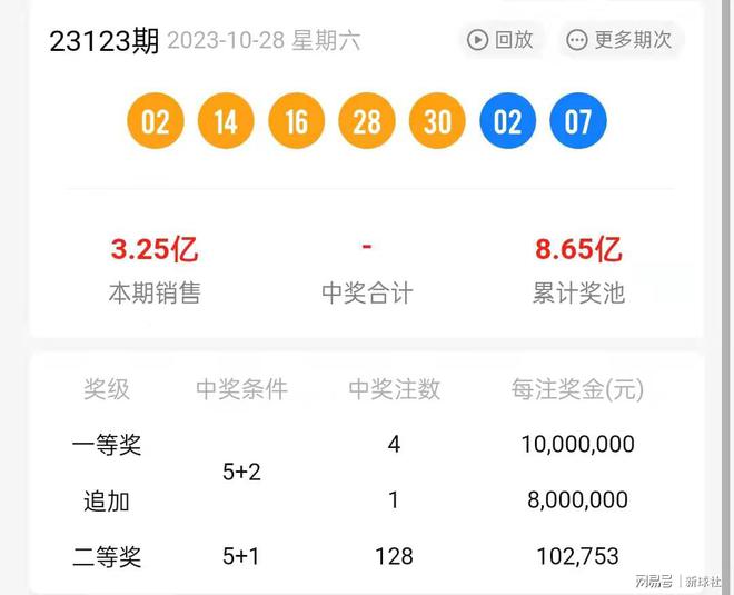 二四六王中王香港资料，二四六王中王香港资料详解