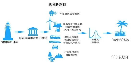 澳门中特网的网站，澳门中特网网站的发展与特点分析