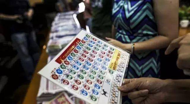 二肖中特期期准免费公开软件特点，二肖中特期期准免费公开软件特点