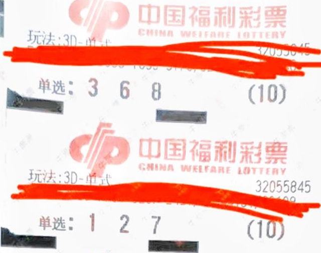 2025年澳门今晚开奖结果，澳门今晚开奖结果，探索未来的幸运之门
