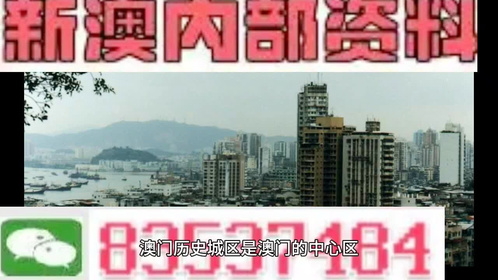 澳门免费资料大全2025，澳门免费资料大全2025，探索与期待