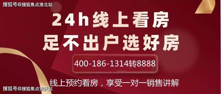 管家婆必出一中一特，管家婆必出一中一特，深度解析与探讨