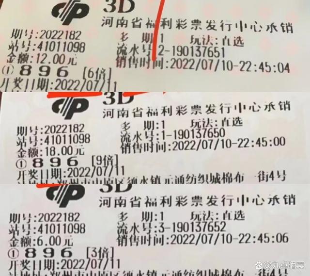 2025年澳门正版免费开奖，澳门正版免费开奖，探索未来的彩票文化与创新机遇（2025年展望）