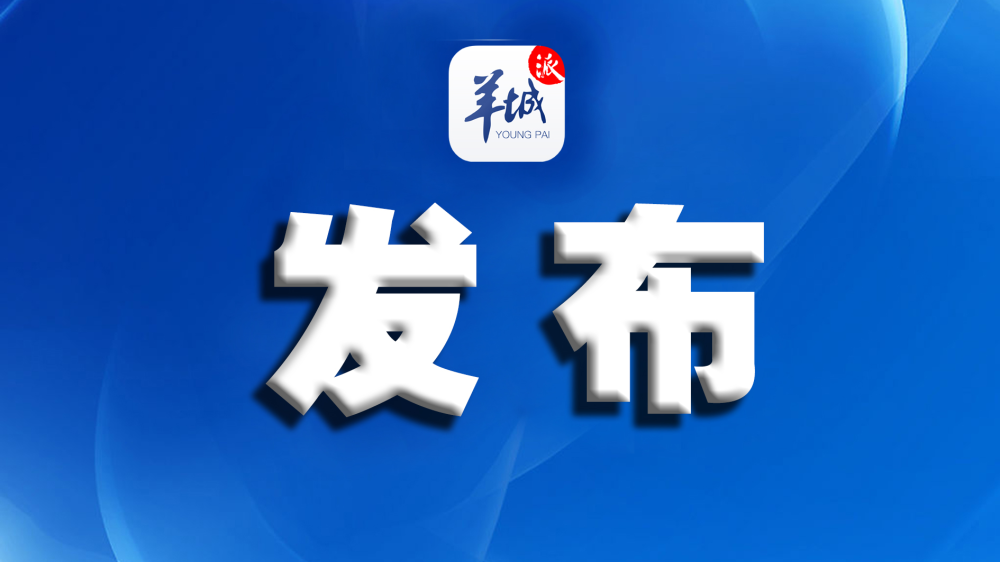 新澳天天免费精准资料大全，新澳天天免费精准资料大全——探索与解析