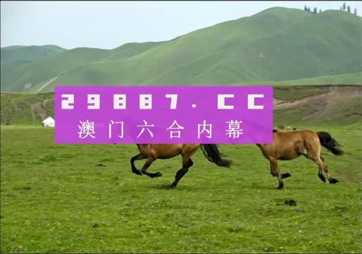 全网最精准澳门资料龙门客栈澳，全网最精准澳门资料龙门客栈澳，探索与解析
